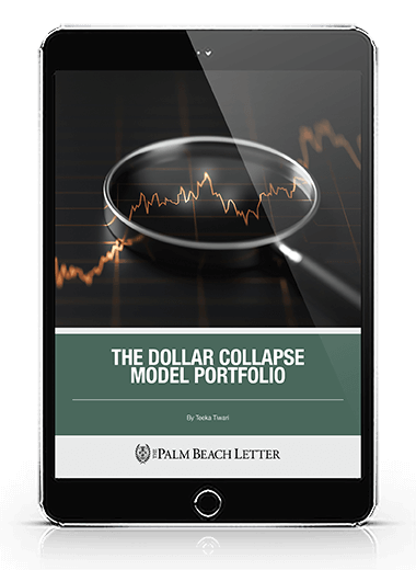 The Dollar Collapse Model Portfolio