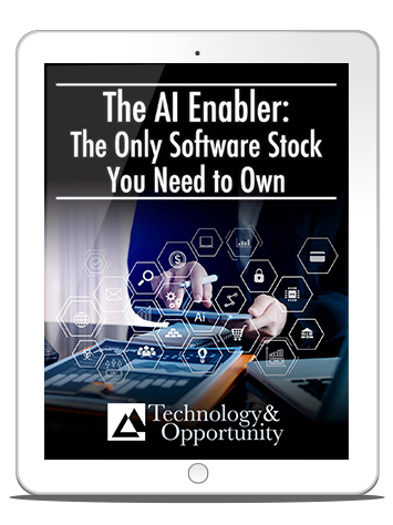 Cover: The AI Enabler: The Only Software Stock You Need to Own